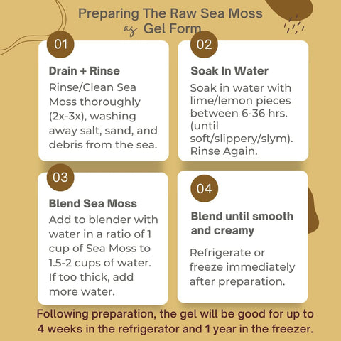 Herb to Body Gold Sea Moss Wildcrafted (4 oz)