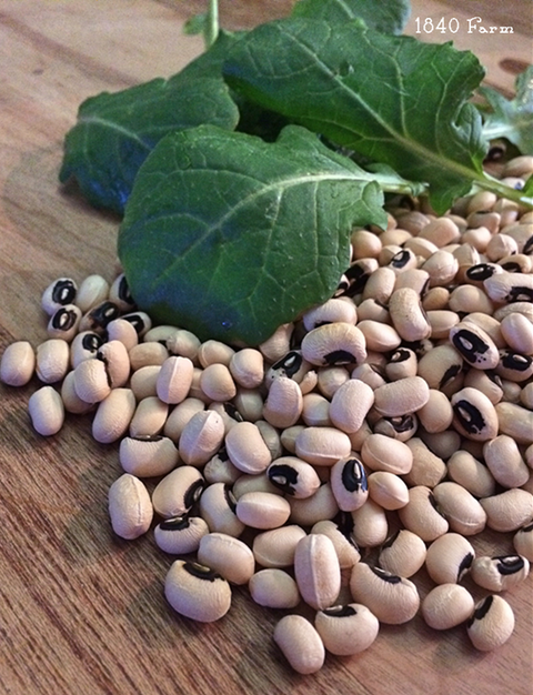 Black Eye Peas (10 lbs)