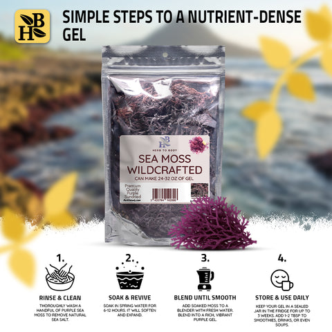 Herb to Body Sea Moss Wildcrafted (4 oz)