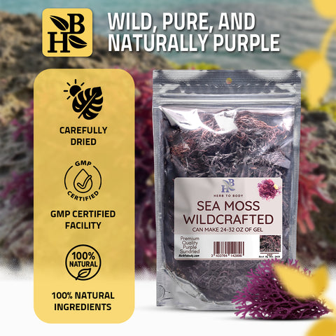 Herb to Body Sea Moss Wildcrafted (4 oz)