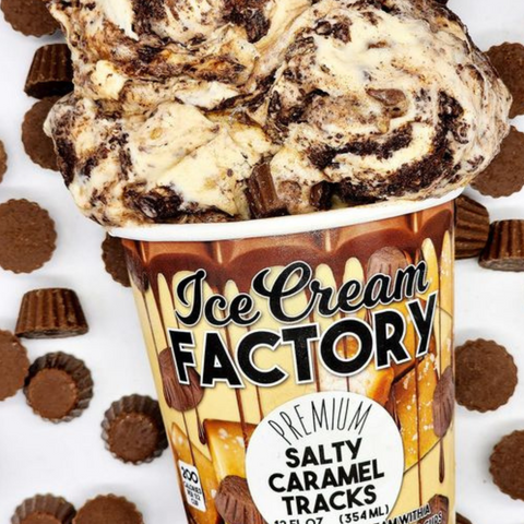 Salty Caramel Tracks Ice Cream (12 oz)