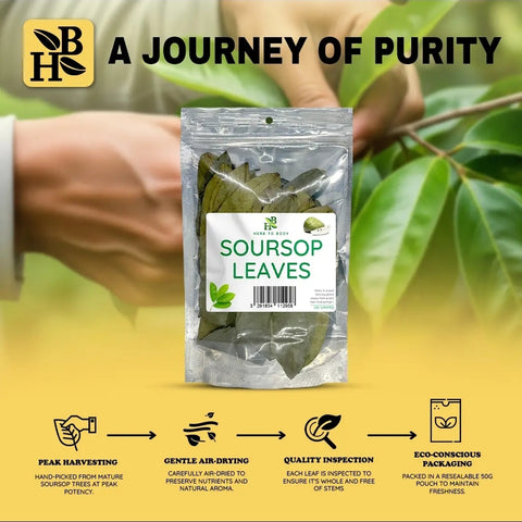 Herb to Body Soursop Leaves (1.76 oz)