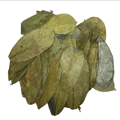 Herb to Body Soursop Leaves (1.76 oz)