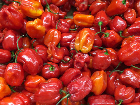 Fresh Habanero Pepper (1 lb)