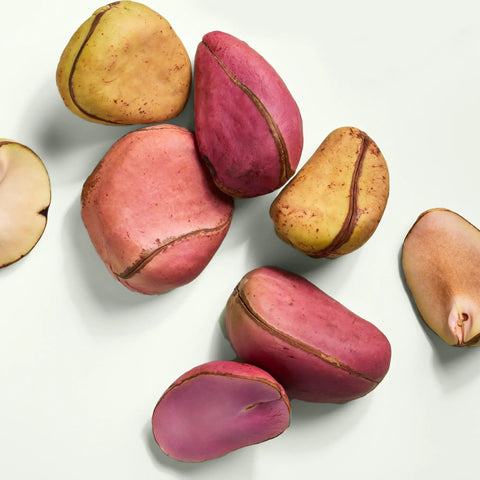 Kola Nuts (0.5lbs)