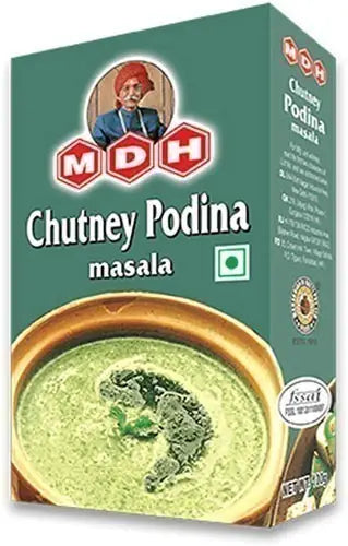 MDH Chutney Podina Masala (100g)