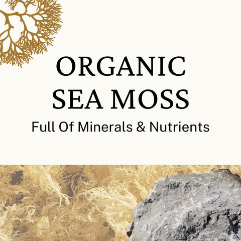 Herb to Body Gold Sea Moss Wildcrafted (4 oz)