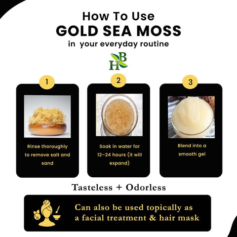 Herb to Body Gold Sea Moss Wildcrafted (4 oz)